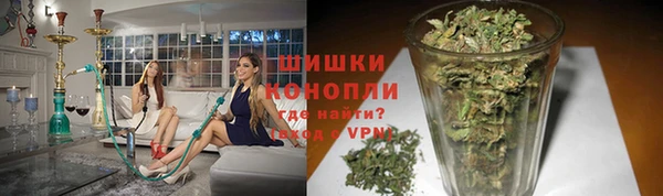 шишки Карпинск