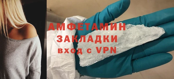 шишки Карпинск