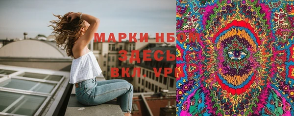 шишки Карпинск