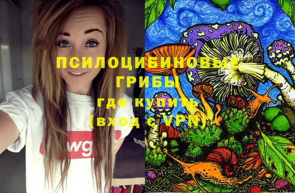 шишки Карпинск