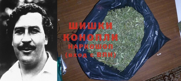 шишки Карпинск